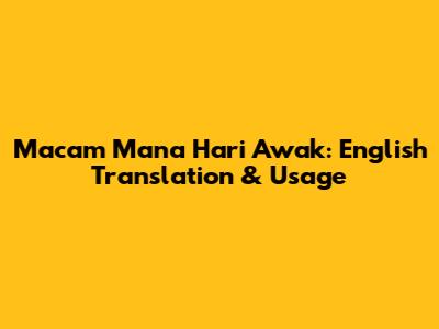 Macam Mana Hari Awak: English Translation & Usage