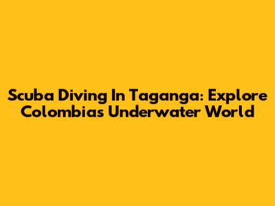 Scuba Diving In Taganga: Explore Colombia's Underwater World